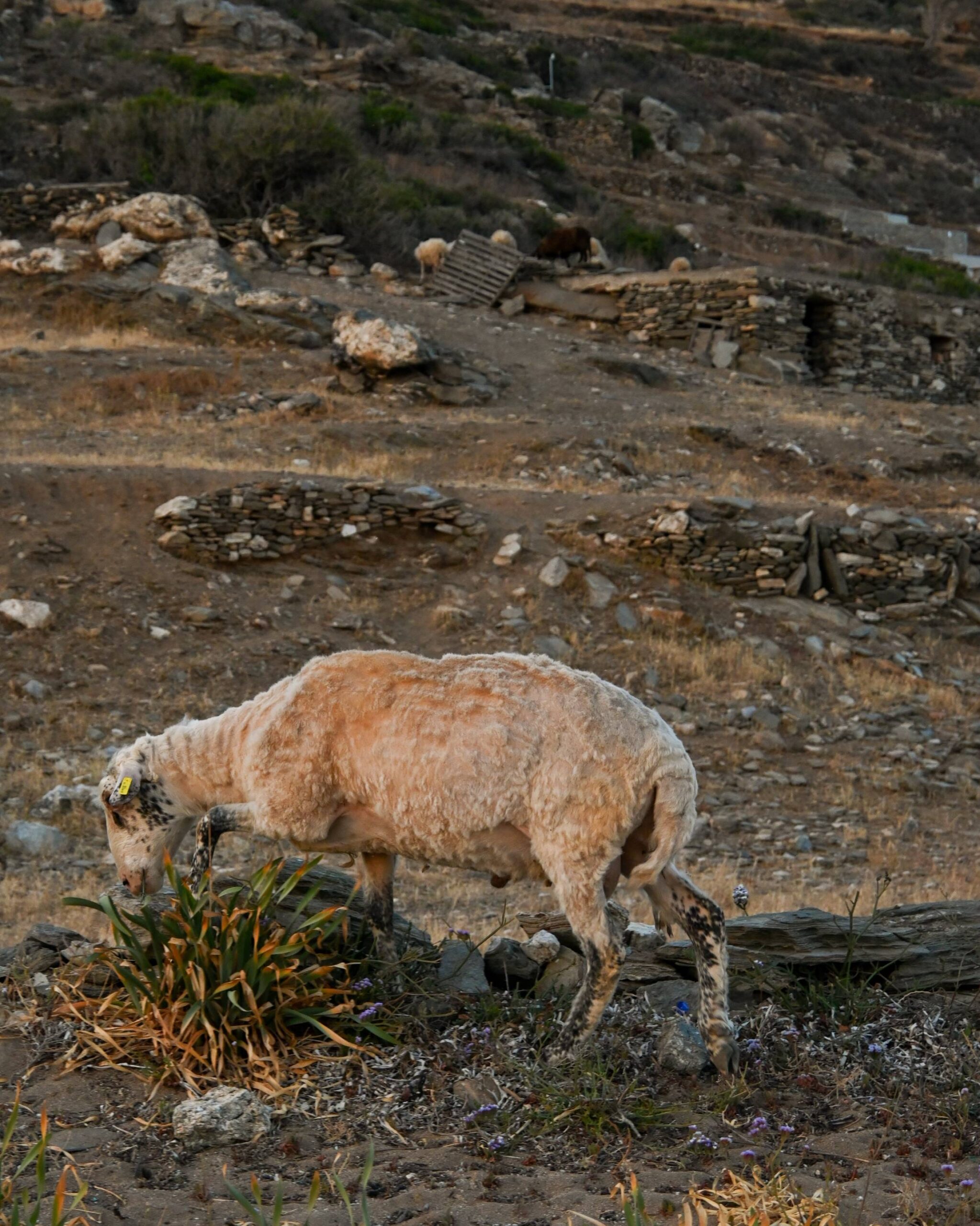 9B9C9D1A-2B4E-471F-A557-9282A9BFBA8F