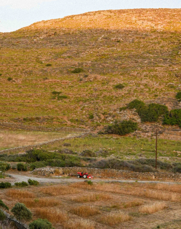 Ανώνυμο σχέδιο - 2025-06-24T140011.737